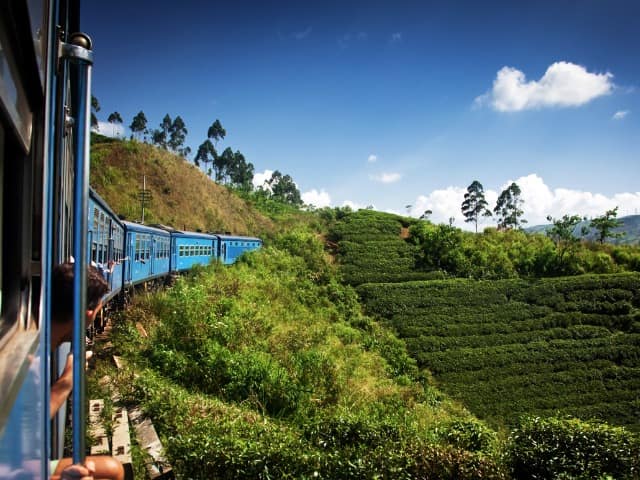 Atividades passeios trem Nuwara Eliya, Kandy